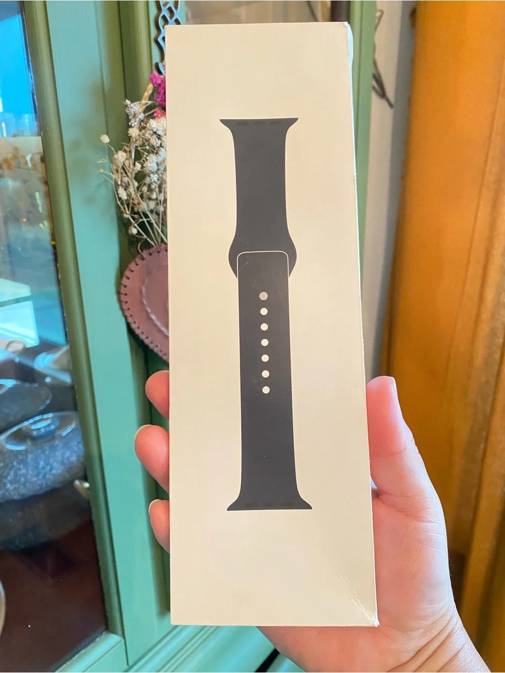 Apple Black Sport Band